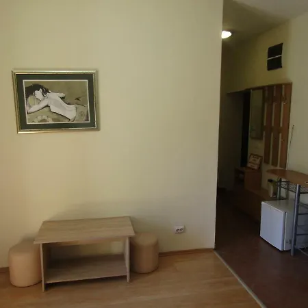Central Гостевой дом 3*